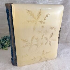 Antique Victorian Celluloid with Velvet Photograph Album